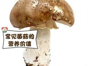 蘑菇蘑菇免费官网下载网址安卓 蘑菇蘑菇免费官网下载网址安卓（安卓版）