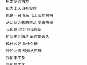 抖音热门歌曲解析：山楂树之恋背后的旋律与情感传递之旅