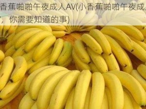 小香蕉啪啪午夜成人AV(小香蕉啪啪午夜成人 AV，你需要知道的事)