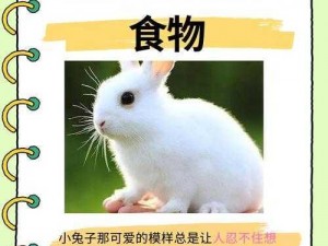 为什么男生喜欢吃女生小兔兔—为什么男生都喜欢吃女生的小兔兔？