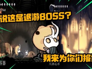 空洞骑士梦境boss攻略：实战打法与技巧分享，轻松击败梦境boss挑战