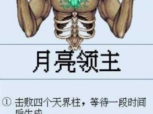 泰拉瑞亚月球领主召唤攻略与战斗指南：掌握召唤步骤与战斗技巧