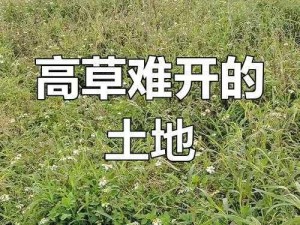 开垦妈妈荒地-如何开垦妈妈的荒地？