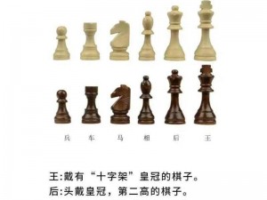 关于国际象棋软件的安装与配置详解：全面指南