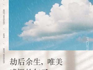 抖音红尘劫后余生感悟：情字之歌的韵味解读