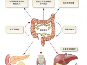 人与畜禽CROPROATIO最新研究【人与畜禽 CROPROATIO 最新研究：肠道微生物组与健康的关联】