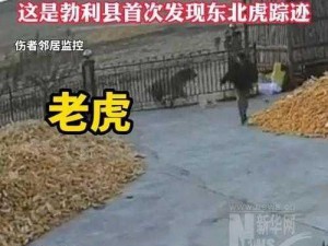 谁知道4虎的地址是多少;谁知道谁知道 4 虎的地址是多少？