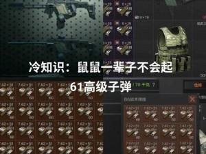 暗区突围身份牌全面解析：如何使用攻略及实用价值展现