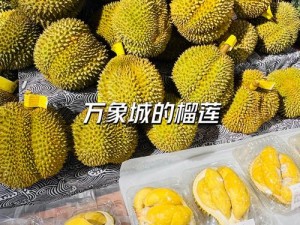 当季新鲜水果，榴莲、香蕉、苹果、哈密瓜、水蜜桃，营养丰富，口感鲜美，让你品尝甜蜜的水果盛宴