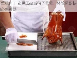 开荤粗肉 H 农民工被当鸭子男男，体验极致快感的必备神器