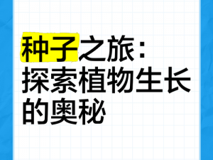 采集丛林珍稀树种种子：探索自然之心的指引者发现之旅