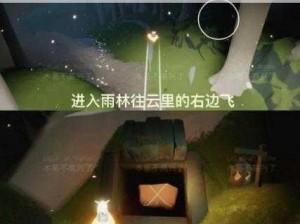 光遇预言季光之翼永久获取可能性解析：最新事实信息揭示真相