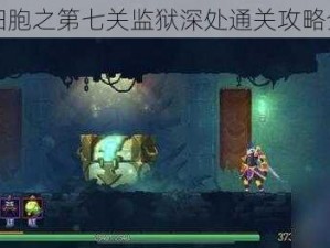 重生细胞之第七关监狱深处通关攻略全解析