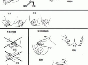 催乳师手法视频教程4 催乳师手法视频教程 4：专业技巧，让您轻松下奶