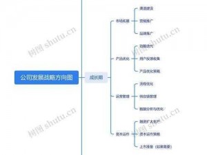 好公司如何实现快速发展的策略与方法介绍