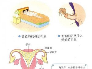 国产精品成人AV性教育-如何正确看待国产精品成人 AV 性教育？