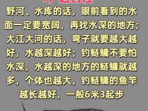 沙石镇时光沙捕笼捕捉沙鲢技巧：揭秘沙鲢捕捞方法与策略