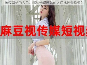 传媒网站的入口、哪些传媒网站的入口比较受欢迎？