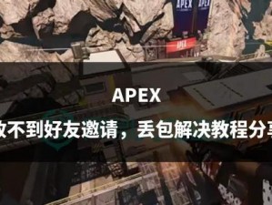 Apex游戏中无法看见好友：原因解析与解决方案探讨