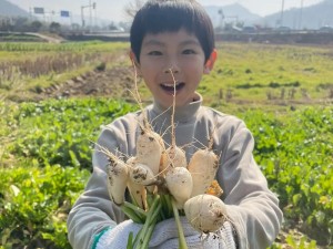 拔萝卜视频大全免费观看(拔萝卜视频大全免费观看，这里有你想看的各种类型的视频)