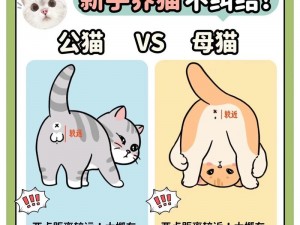 猫的遗传基因遗传方式：探究公猫与母猫基因遗传特性的奥秘