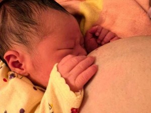 两个吃母乳头标清标照片、求两个吃母乳头标清标照片，谁有？