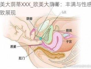 欧美大荫蒂XXX_欧美大荫蒂：丰满与性感的极致展现