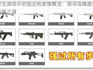 绝地求生游戏中的狙击枪家族概览：探寻高精度射击背后的利器之道