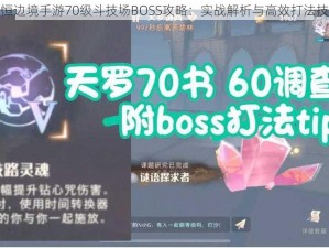 永恒边境手游70级斗技场BOSS攻略：实战解析与高效打法技巧