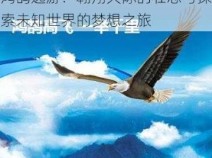 鸿鹄逸游：翱翔天际的壮志与探索未知世界的梦想之旅