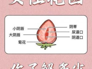 公交车上摸到花蒂进去了视频：揭秘女性私密花园的秘密