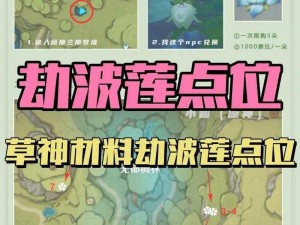 原神攻略秘籍：揭秘高效收集劫波莲的路线与技巧