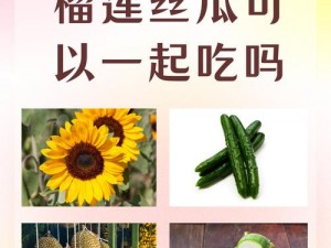 丝瓜 向日葵 草莓 榴莲;在向日葵的花园中，草莓和榴莲会成为丝瓜的好朋友吗？