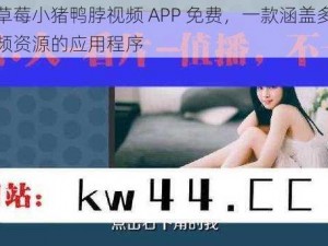 丝瓜草莓小猪鸭脖视频 APP 免费，一款涵盖多种类型视频资源的应用程序