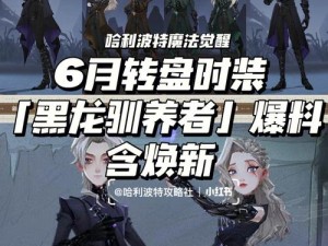 哈利波特魔法觉醒游戏新时装揭秘：黑龙驯养者装束价格详探