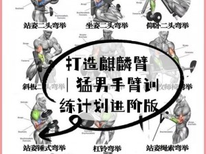 逆刃麒麟臂攻略详解：玩转技巧进阶秘籍