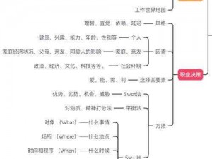 天天小师妹如何选择职业之路：三大职业方向的深度解析与探讨