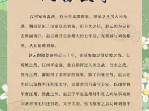 赵云傲立群雄，军事智慧加持：武将之首深度解读与推荐