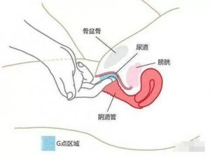 囗交做性视频69、囗交做性视频 69 姿势大揭秘