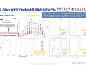 探索腐蚀之种力量：深度解析输出手法