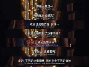 欧美日韩中文字幕，包含最新电影、电视剧、综艺等，满足你的各种需求