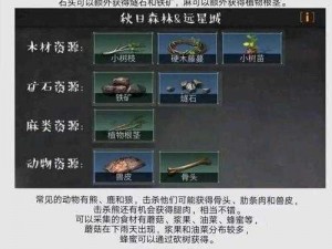 明日之后寻常之物完美通关攻略：策略、技巧与步骤详解