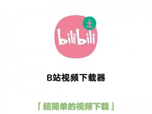 搞 b 软件，一款专门为 b 站用户打造的视频下载神器