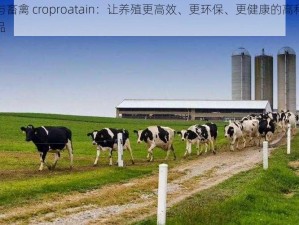 人与畜禽 croproatain：让养殖更高效、更环保、更健康的高科技产品