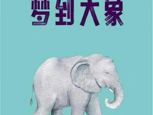 点击由此进入2023大象_点击由此进入 2023 大象，开启奇幻旅程