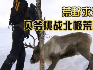 冰原探险之旅揭秘：探寻守卫雪橇之麋鹿神秘行踪