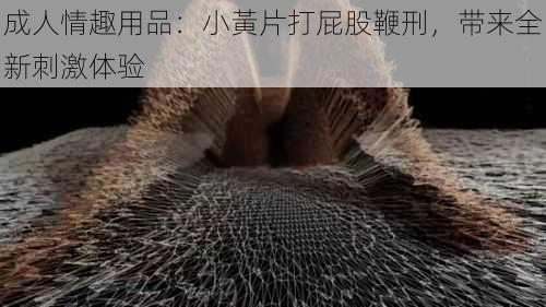 成人情趣用品：小黃片打屁股鞭刑，带来全新刺激体验