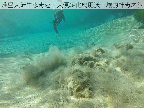 堆叠大陆生态奇迹：大便转化成肥沃土壤的神奇之旅