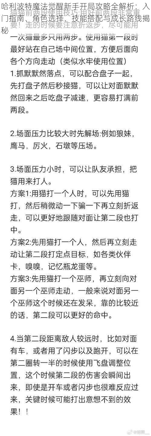 哈利波特魔法觉醒新手开局攻略全解析：入门指南、角色选择、技能搭配与成长路线揭秘