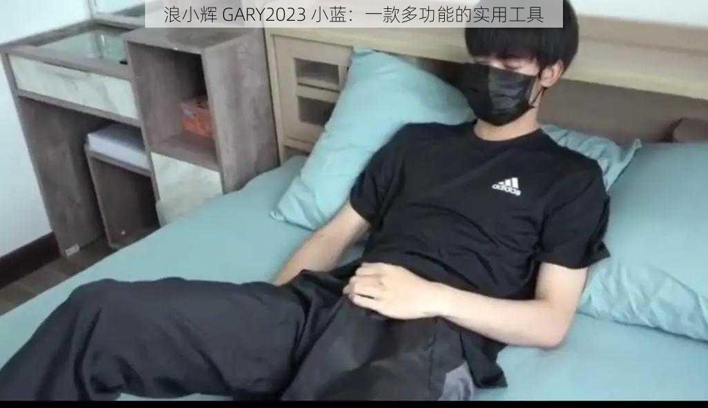 浪小辉 GARY2023 小蓝：一款多功能的实用工具